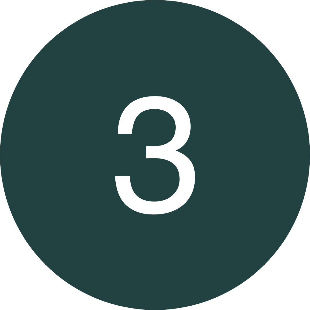 N3